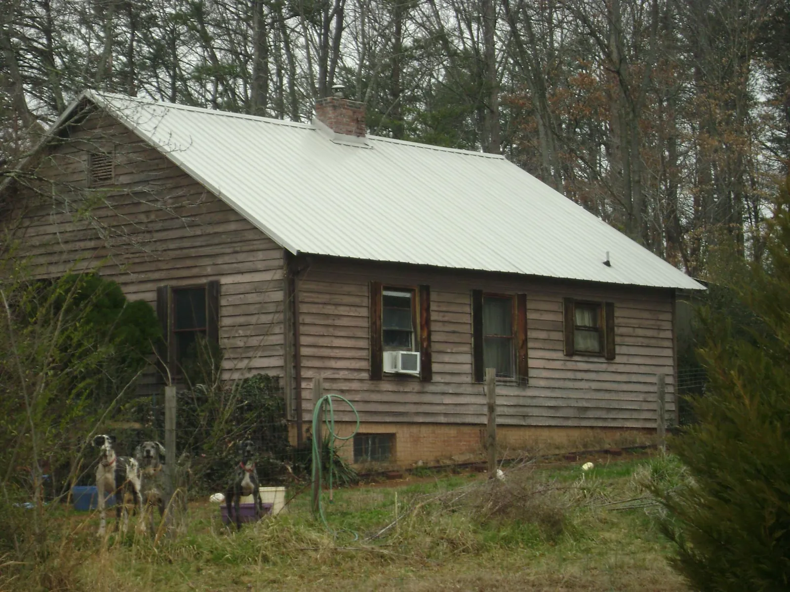 White metal roof on an old wood sided farmhouse, from a Asphalt Shingle Roof Repair job in Delta